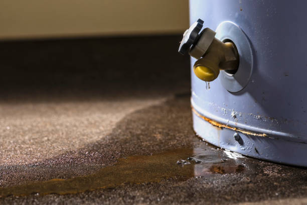 Best Emergency water damage restoration  in Hanover, IN