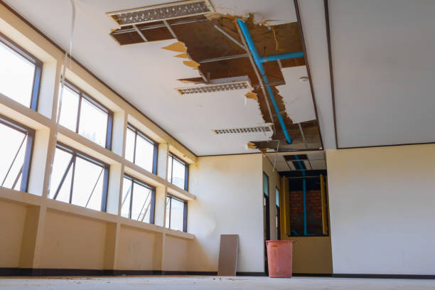 Best Carpet water damage restoration  in Hanover, IN