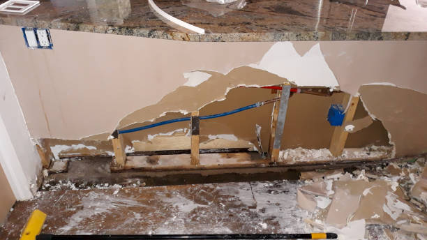 Best Mold removal after water damage  in Hanover, IN