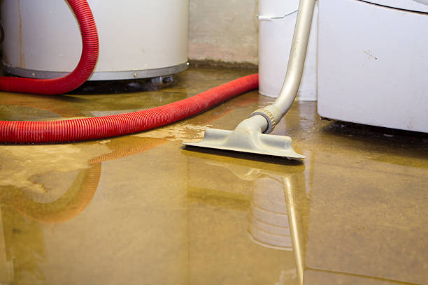 Best Emergency water damage restoration  in Hanover, IN
