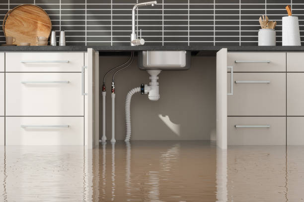 Best 24/7 water damage repair  in Hanover, IN