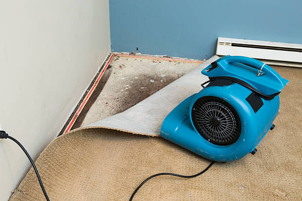 Best Local water damage restoration  in Hanover, IN