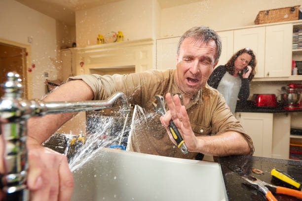 Best Water damage cleanup near me  in Hanover, IN